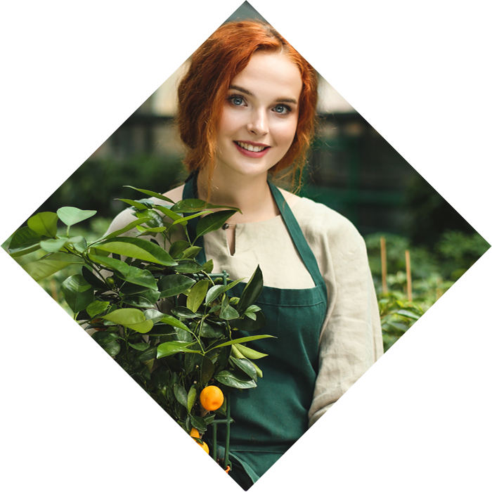 Agronova - Contacta con nosotros