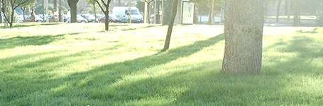 Agronova - Áreas verdes