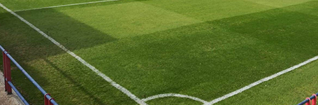 Agronova - Servicios profesionales